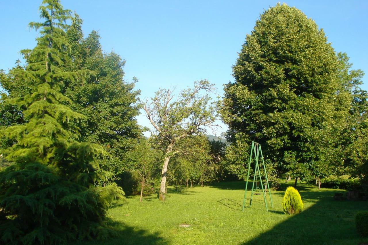 Apartmani Aldo Roč Exterior foto
